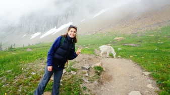 MOUNTAIN GOATS ARE MY FAVORITE!
